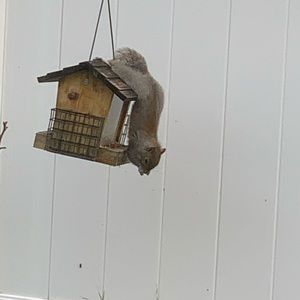 Meet your Posher, Steve